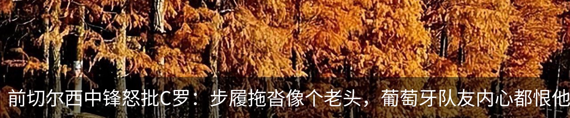 资讯中心