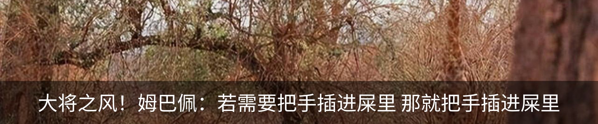 资讯中心