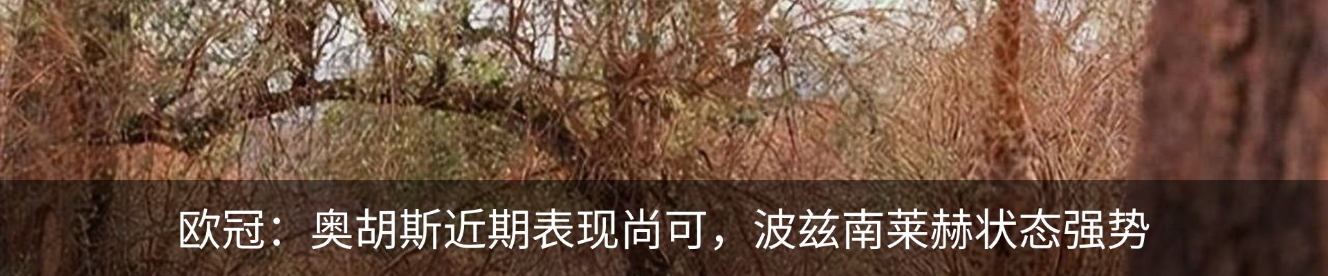 资讯中心