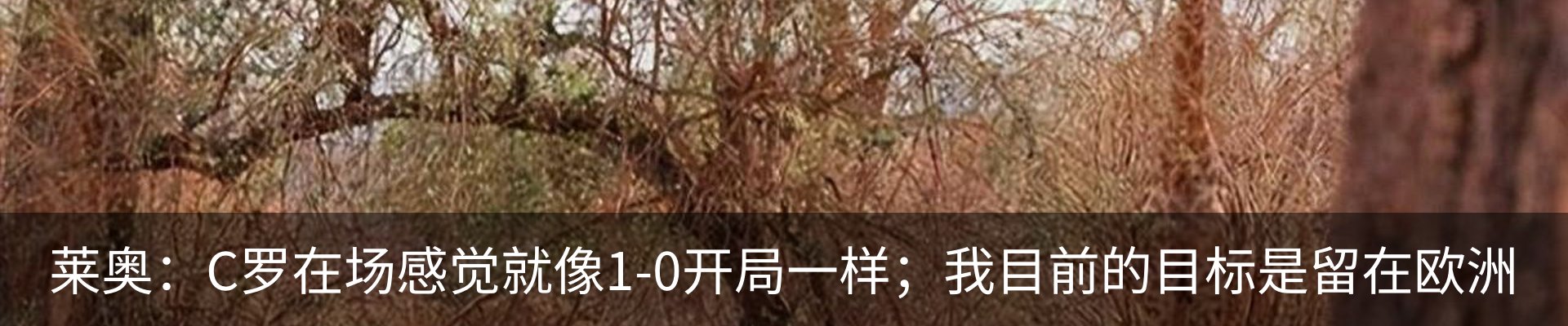 资讯中心